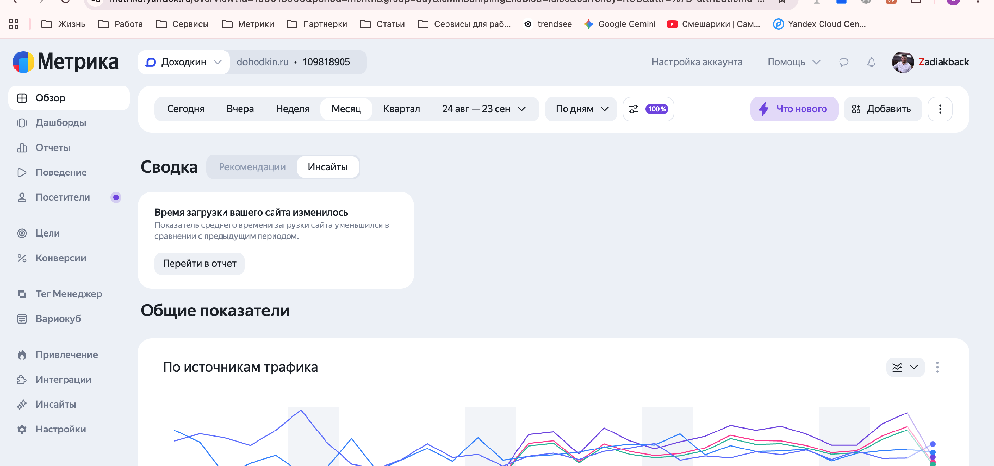 Скриншот Яндекс Метрики проекта Доходкин